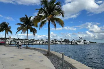 Restaurant in Monty's Coconut Grove in Miami