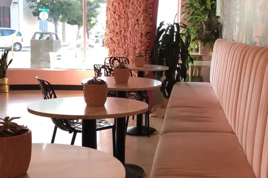 Holy Matcha