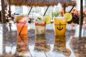 Restaurant in Monty's Coconut Grove in Miami