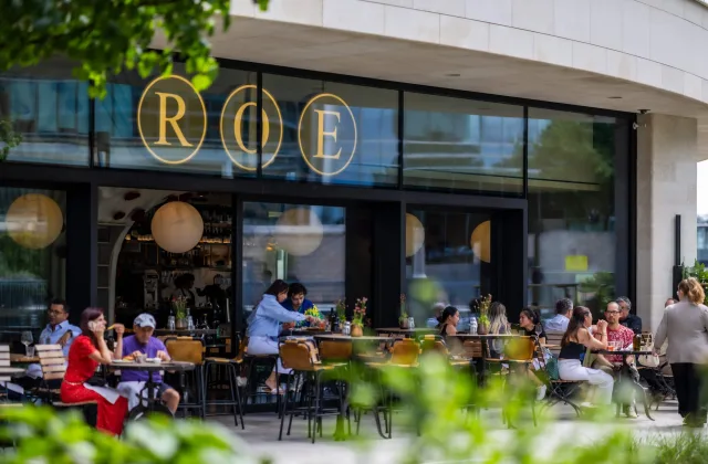 Roe in London