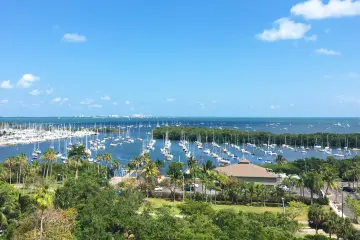 Restaurant in Monty's Coconut Grove in Miami