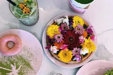 Cafe in Holy Matcha in San Diego
