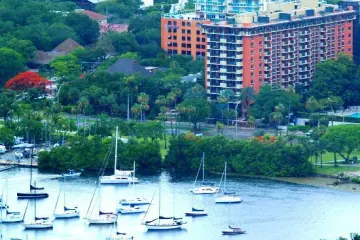 Restaurant in Jaguar Restaurant - Coconut Grove in Miami