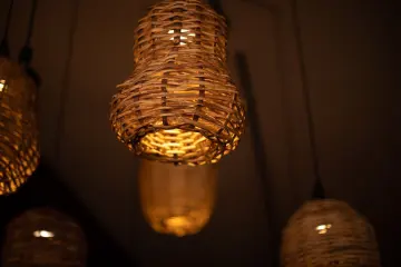 Restaurant in Jaguar Restaurant - Coconut Grove in Miami