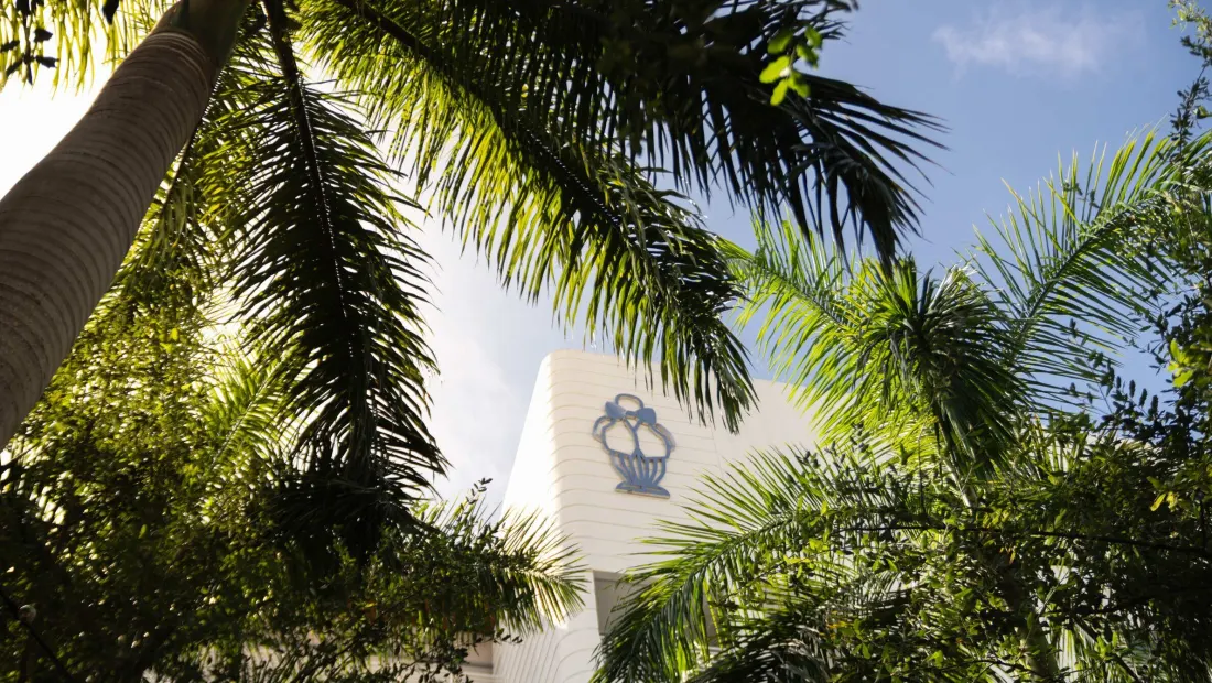 Restaurant in Monty's Coconut Grove in Miami