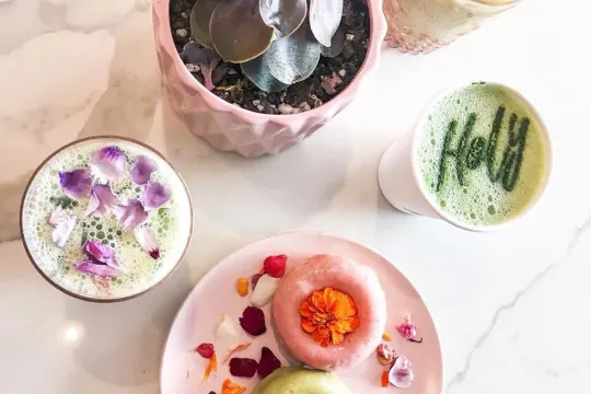 Holy Matcha